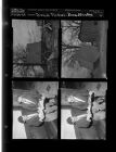 Tornado pictures; Timothy Ellis and Dave (4 Negatives (January 23, 1959) [Sleeve 45, Folder a, Box 17]